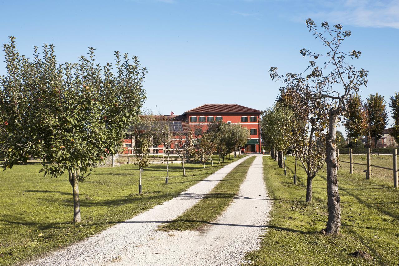Ca' Ciaran Bed & Breakfast Chiarano Екстериор снимка